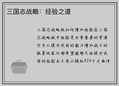 三国志战略：经验之道